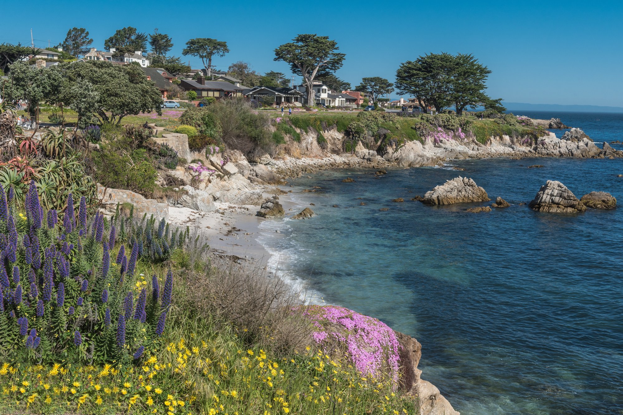 AdobeStock_121255005_Pacific Grove, CA